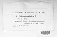 Image Associated With the Occurence